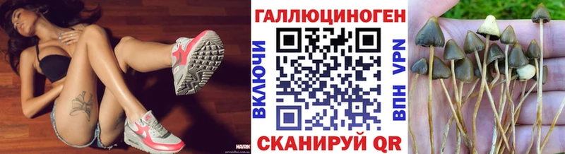 blacksprut   маркетплейс какой сайт  Псилоцибиновые грибы мухоморы  как найти   Минеральные Воды 